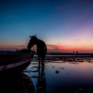 CAVALO NA PRAIA QUADRADO