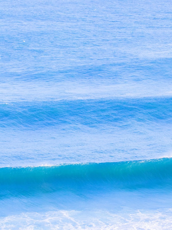 DÍPTICO 1 - O SWELL