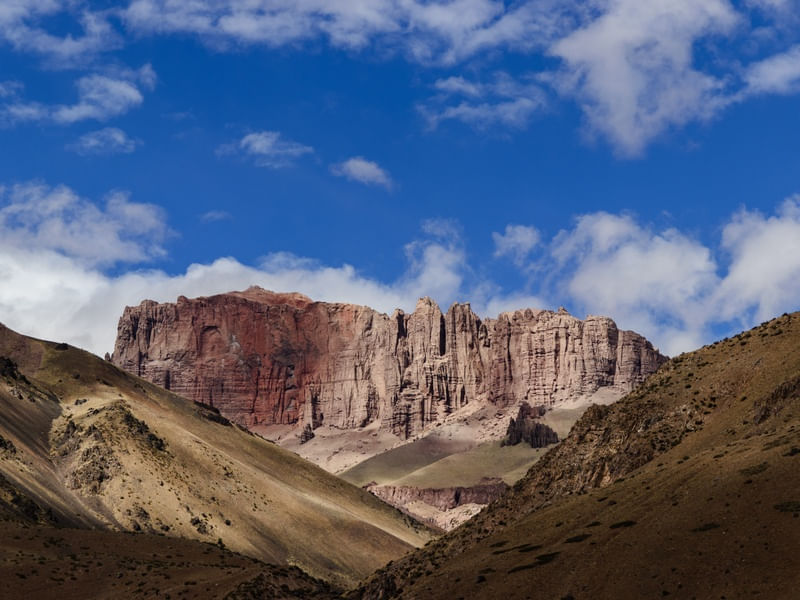 PAREDÃO PAISAGEM