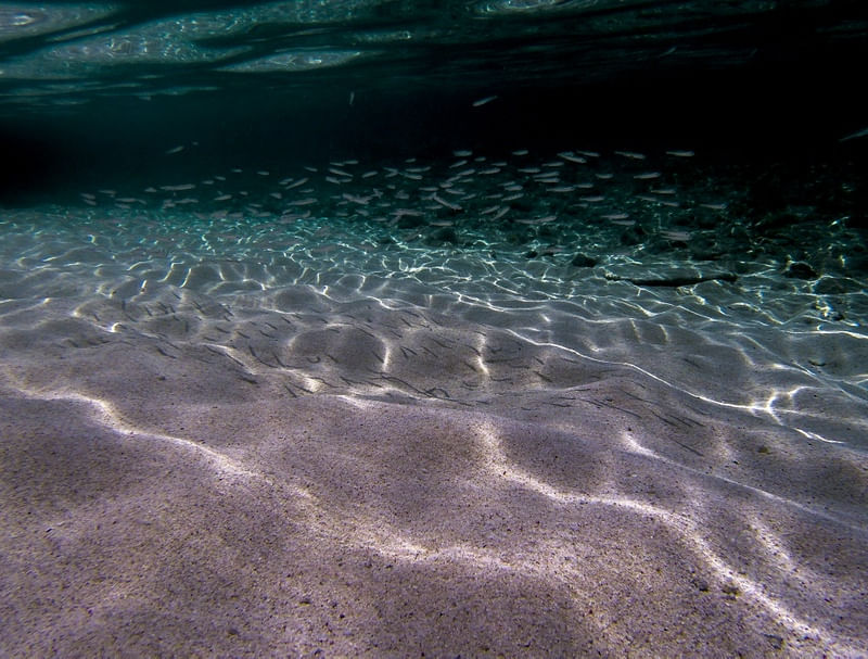 PEIXES NO MAR - PAISAGEM