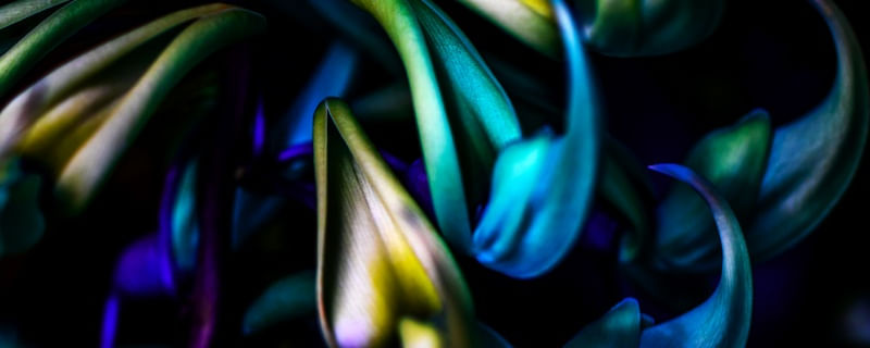 PAN DÍPTICO BAIXO - TONS DE AZUL NA FLOR