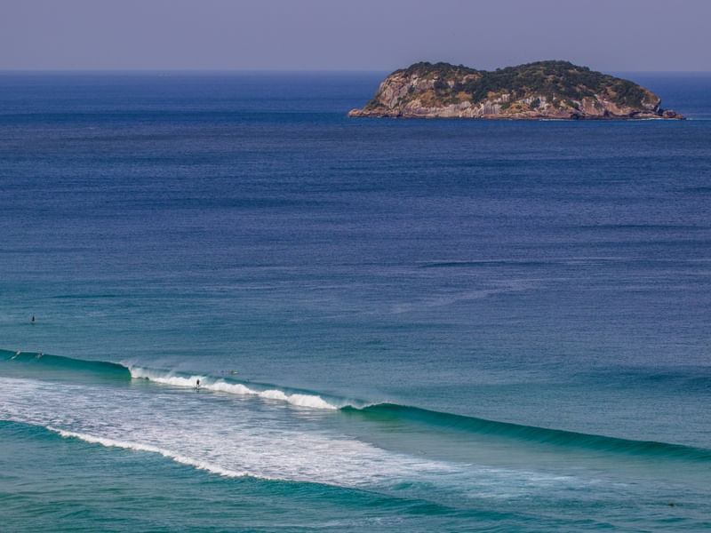 ILHA E ONDA