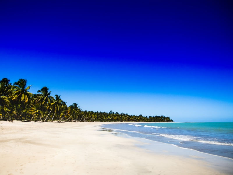 PRAIA PARADISÍACA