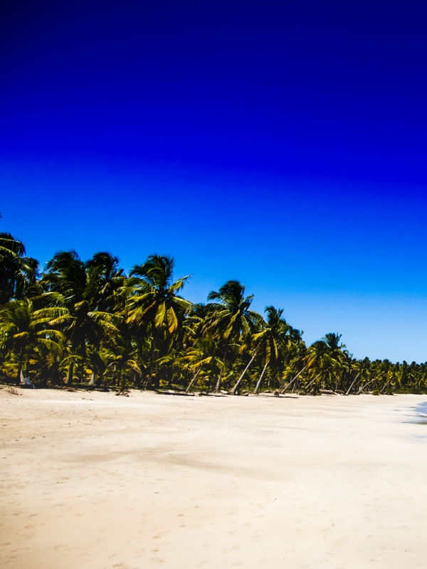 DÍPTICO 1 - PRAIA PARADISÍACA