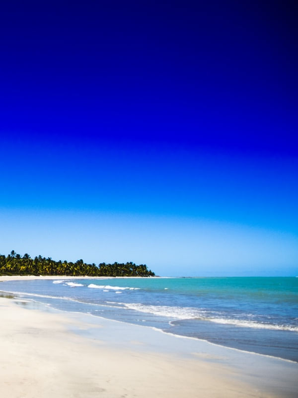 DÍPTICO 2 - PRAIA PARADISÍACA
