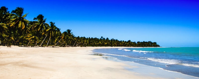 PAN DÍPTICO BAIXO - PRAIA PARADISÍACA