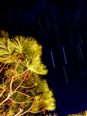DÍPTICO 1 - RASTRO DAS ESTRELAS
