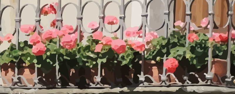 FLORES NA VARANDA
