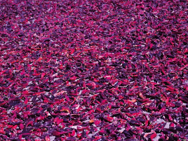 TEXTURA PIMENTA