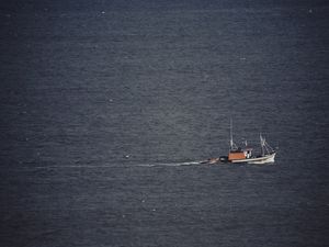 BARCO PESCADORES