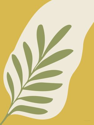 VERDE TERRA 7
