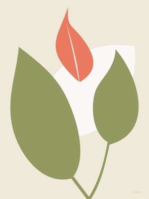 VERDE TERRA 13