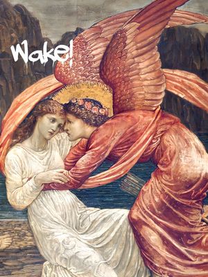 WAKE ANGEL