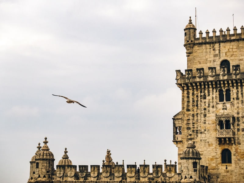 GARÇA E CASTELO