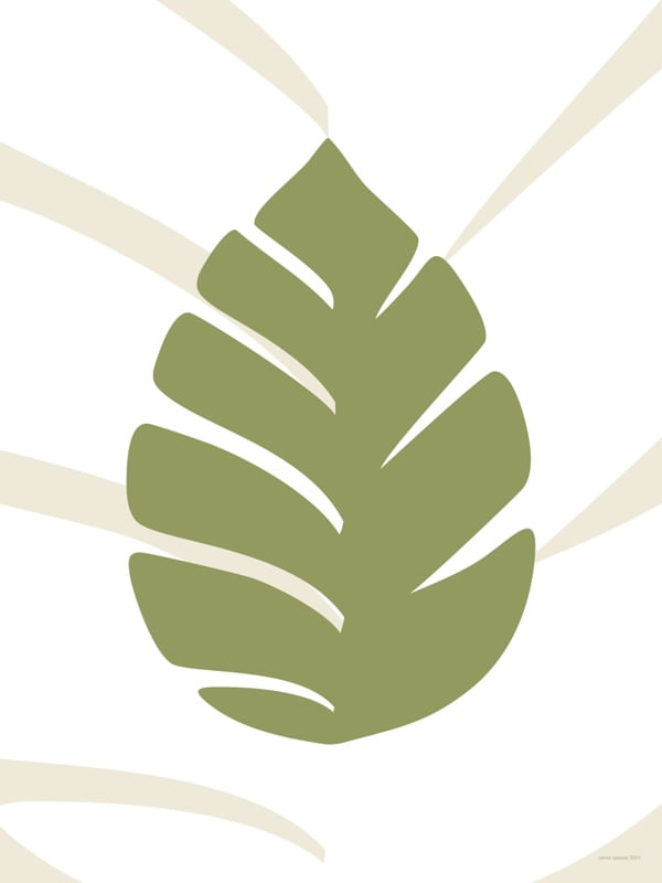 VERDE TERRA 3