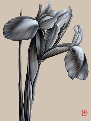 FLOR SHOUBU ÍRIS JAPONESA DELICADA AQUARELA EM FUNDO AREIA ARTISTA YAMAGUTI