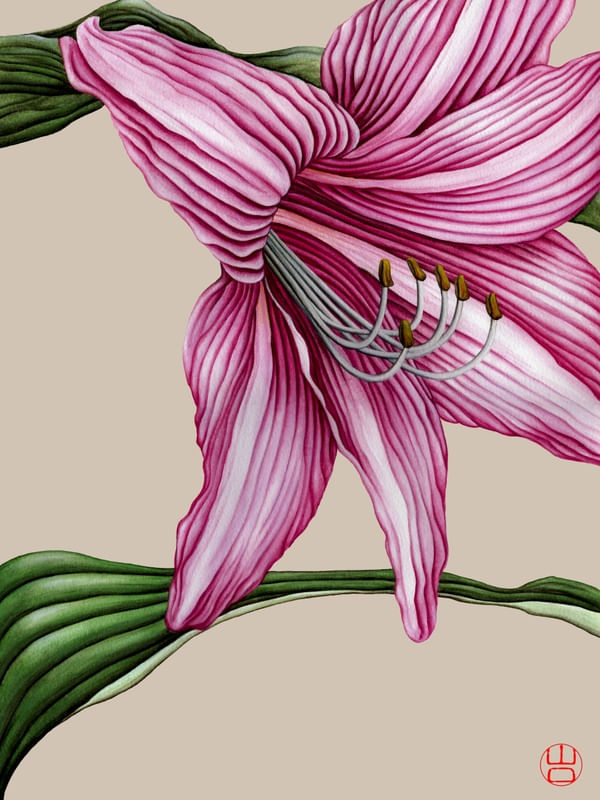 FLOR AMARÍLIS EM AQUARELA FUNDO AREIA