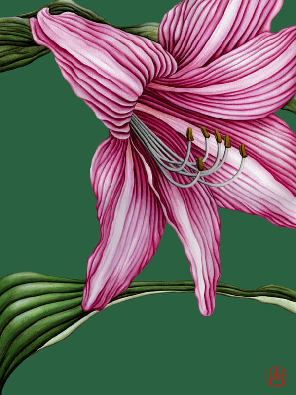 FLOR AMARÍLIS MODERNA AQUARELA EM FUNDO VERDE FLORESTA