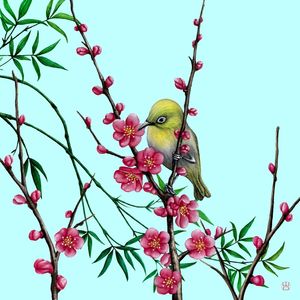 PÁSSARO JAPONÊS EM FLOR DE CEREJEIRA SAKURA AQUARELA FUNDO AZUL