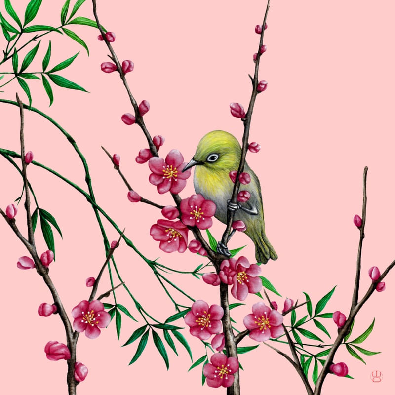 PÁSSARO JAPONÊS EM FLOR DE CEREJEIRA SAKURA AQUARELA FUNDO ROSA