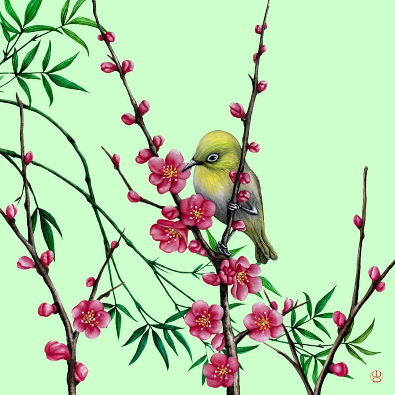 PÁSSARO JAPONÊS EM FLOR DE CEREJEIRA SAKURA AQUARELA FUNDO VERDE