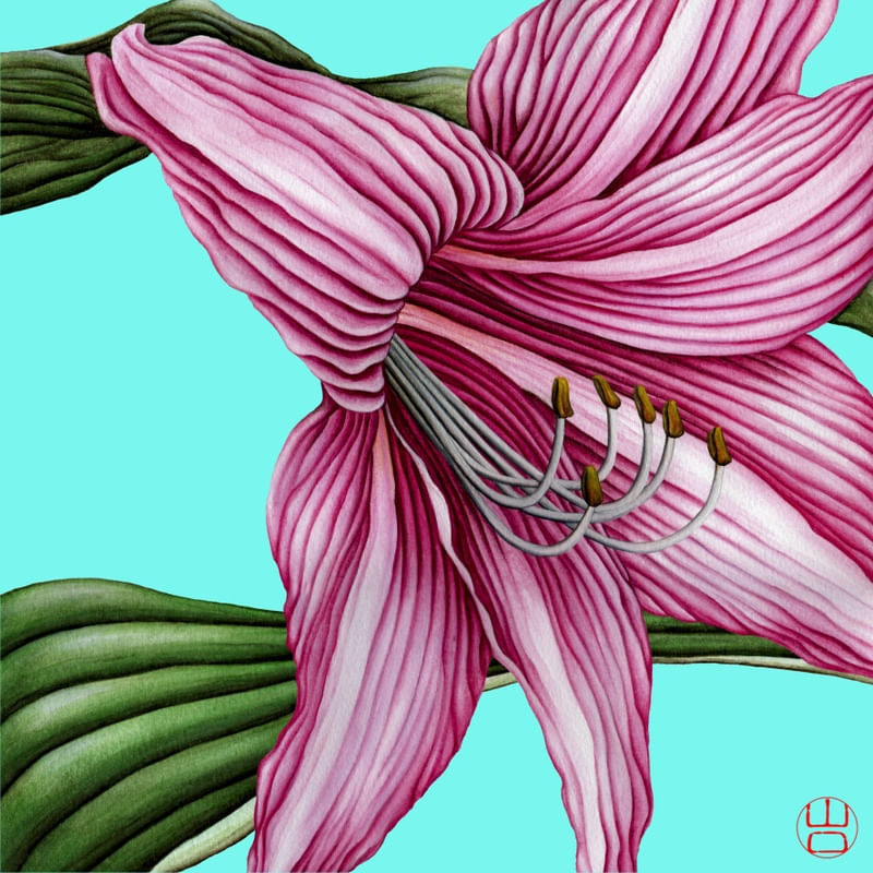 FLOR AMARÍLIS AQUARELA FUNDO AZUL TURQUESA