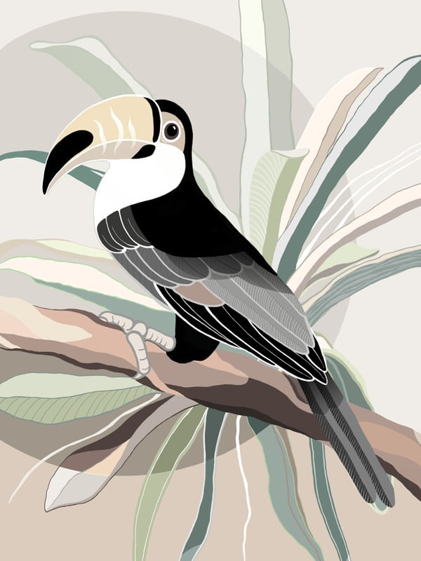 TUCANO TROPICAL JAPANDI