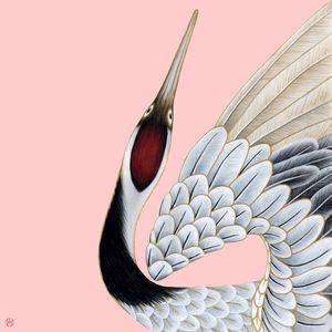 TSURU GROU PÁSSARO DA FELICIDADE AMOR ESPERANÇA FIDELIDADE PAZ
