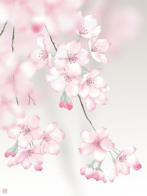 FLOR DE CEREJEIRA SAKURA ROSA