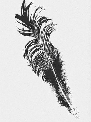 FEATHER AND DESIRE VIII