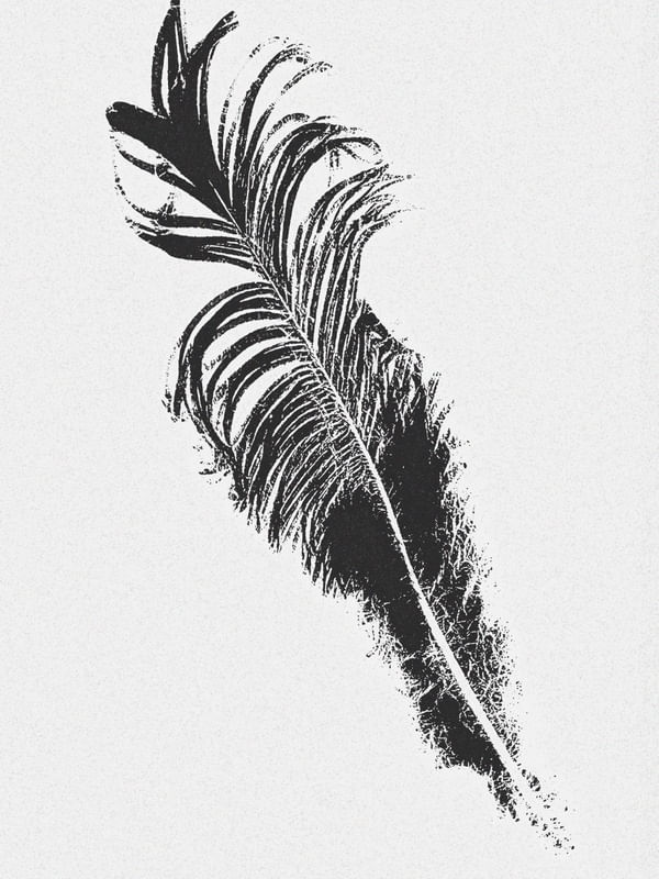 FEATHER AND DESIRE VIII