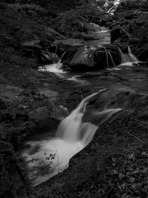 CACHOEIRA EM NISHIZAWA JAPÃO