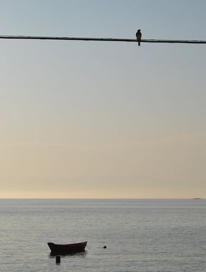 FIM DE TARDE EM ILHA GRANDE