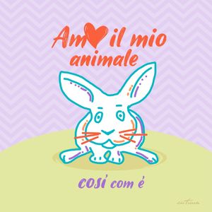 COELHINHO PET