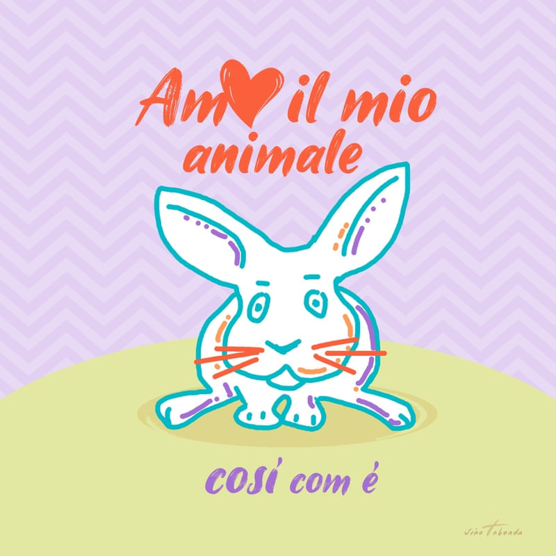 COELHINHO PET