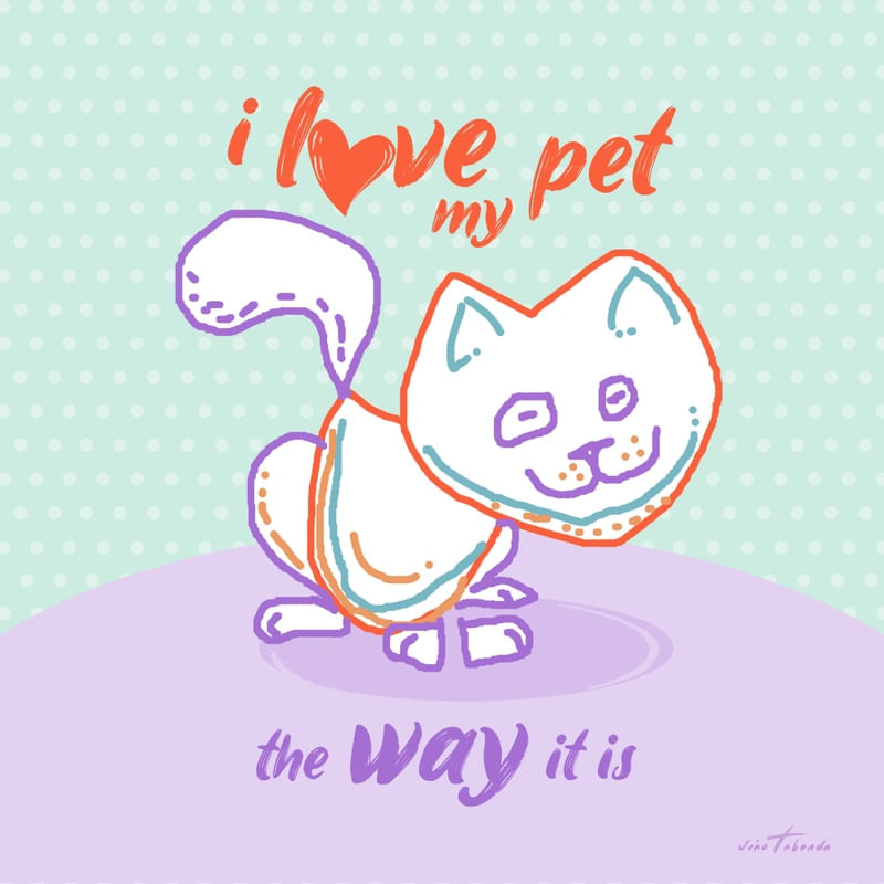 GATINHO PET