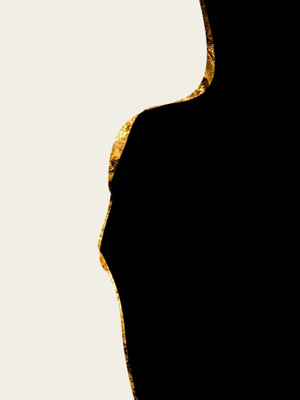 ABSTRATO ORGANICO APR - 45B