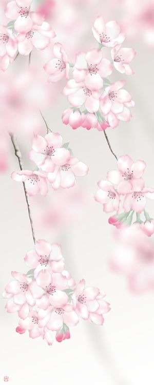 FLOR DE CEREJEIRA SAKURA ROSA PINK CHERRY BLOSSOM