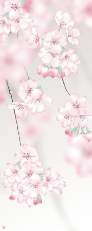 FLOR DE CEREJEIRA SAKURA ROSA PINK CHERRY BLOSSOM