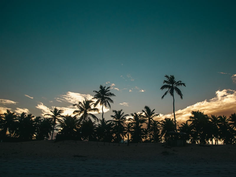 DIOGO-BAHIA-3