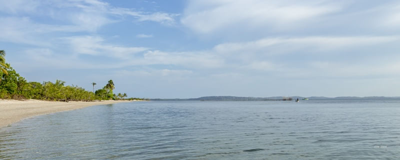 SISTEMA DE PESCA NA BAHIA - PANORAMA