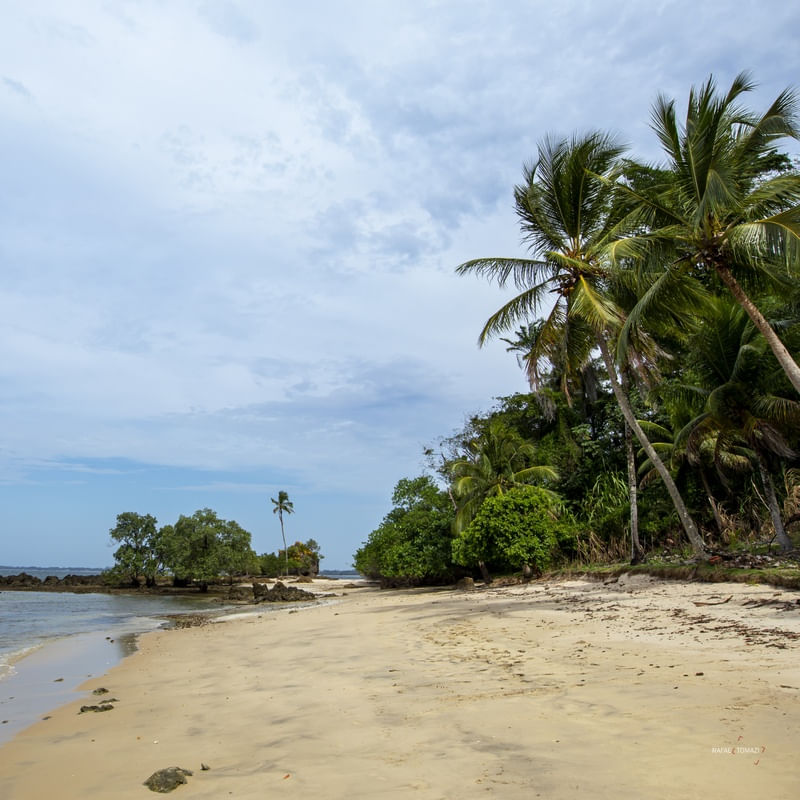 PRAIA DESERTA COM COQUEIROS NO MARAÚ