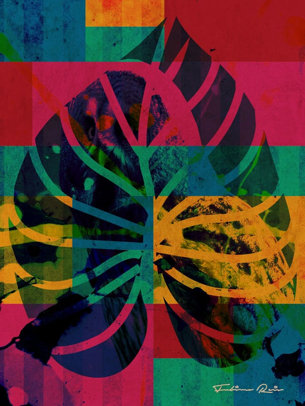 ABSTRACT AND COLORFUL LEAF