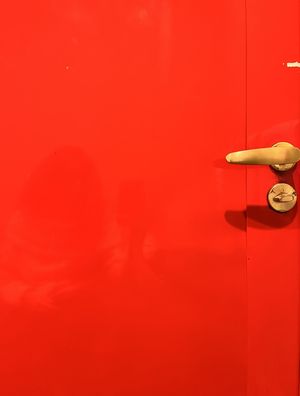QUANDO AS PORTAS DA PERCEPÇÃO SE ABRIREM