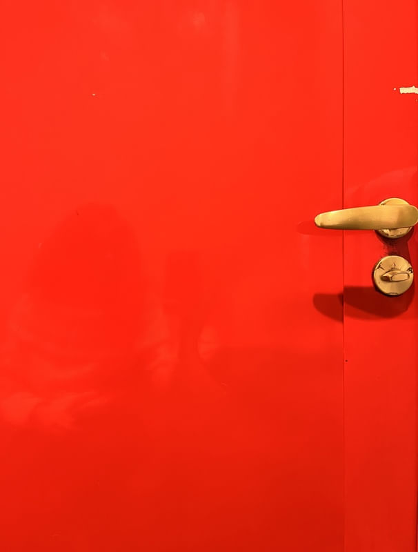 QUANDO AS PORTAS DA PERCEPÇÃO SE ABRIREM
