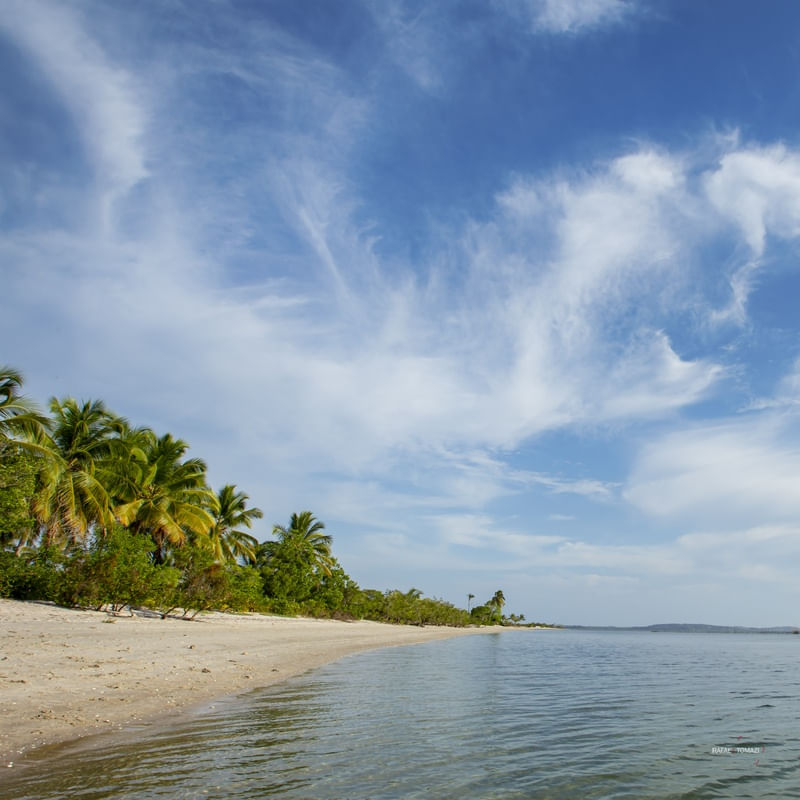 PRAIA EM LITORAL NORDESTINO NO VERÃO