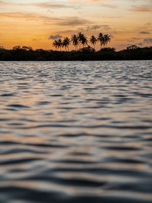 PÔR DO SOL COM COQUEIROS E REFLEXO NAS ÁGUAS DO MAR DÍPTICO 1 DE 2