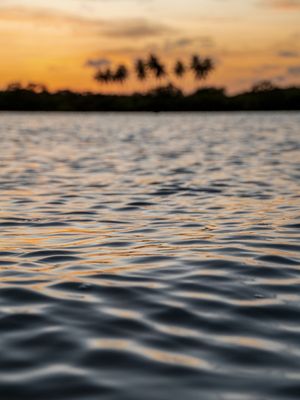 PÔR DO SOL E COQUEIROS COM REFLEXO NA ÀGUA DO MAR DÍPTICO 2 DE 2
