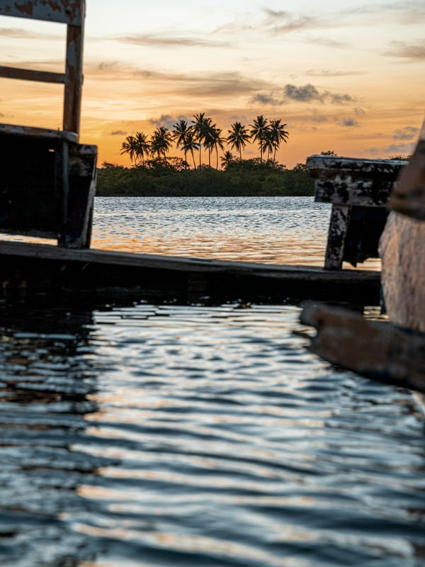 BARCO E COQUEIROS NAS ÁGUAS DO MAR NO PÔR DO SOL