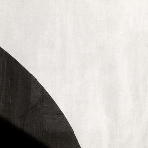 MOVING SHADOW 1